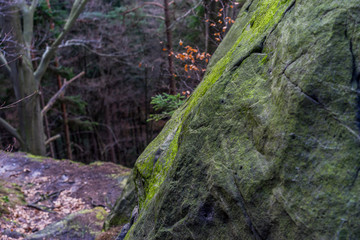 Sandstone rocks in Sudeten mountains in Saxony, Germany, surrounded by forest