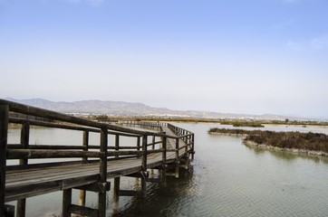 Wooden walkway in Spain