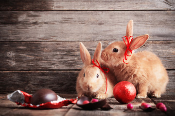 rabbits with chocolate eggs on wooden background
