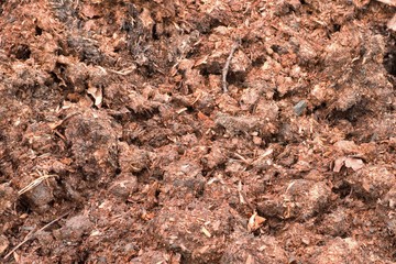 Natural fertilizer from cow dung
