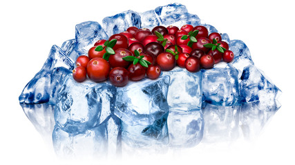 Frozen cranberries isolated