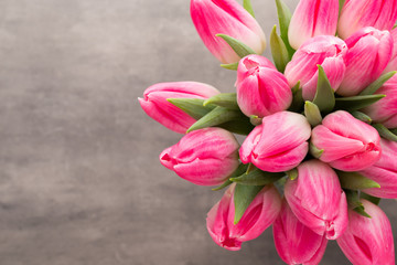 More tulip on the grey background.