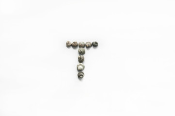 The letter T, composed of seashells