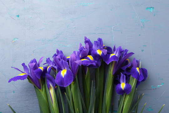 iris bouquet