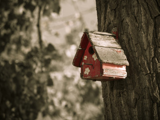 Bird house on a tree