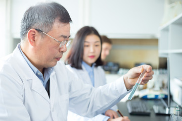 people doing chemical experiment in modern lab