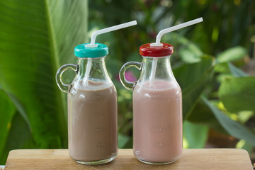 Fresh Chocolate and Strawberry flavor Milk