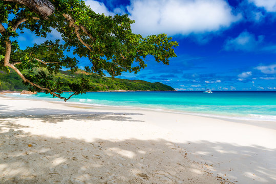 Anse Lazio beach, Praslin island, the Seychelles