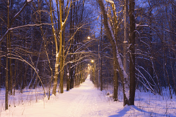 Night snow-covered road