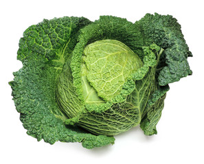 Savoy cabbage, isolated on white.