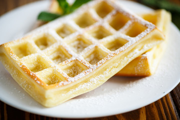 Viennese waffles with powdered sugar 