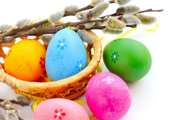 Colorful easter eggs and branches of willow on white background