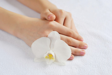 Beautiful woman hands with white orchid flower