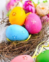 Colorful easter eggs in nest on a white background