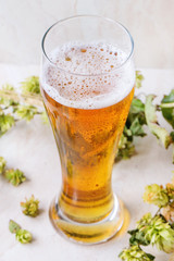 Glass of lager beer