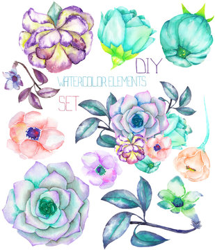 A set with the isolated watercolor floral elements: succulents, flowers, leaves and branches, hand-drawn on a white background, for self-compilation of the bouquets and ornaments