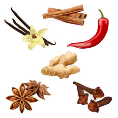 Set of spices isolated