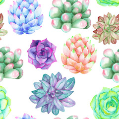 A seamless pattern with the watercolor various kinds of succulents, hand-drawn on a white background