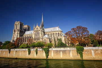 Fototapeta na wymiar Cathédrale Notre Dame de Paris, view of southern facade from the river Seine