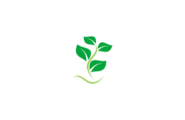 green plant logo