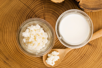 Fototapeta na wymiar Organic probiotic milk kefir grains