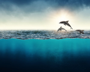 Fototapeta premium Streszczenie tło z delfinami