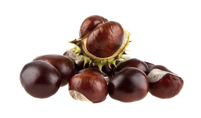 Obraz premium chestnuts