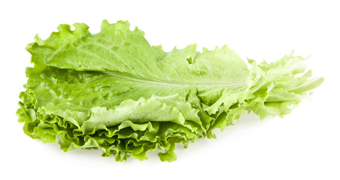 leaves of lettuce