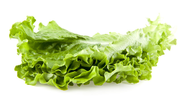 leaves of lettuce