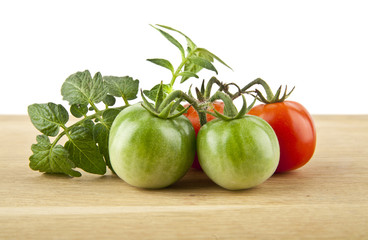 tomatoes