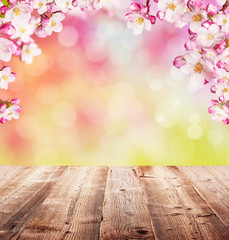Fototapeta premium Cherry blossoms with empty wooden planks