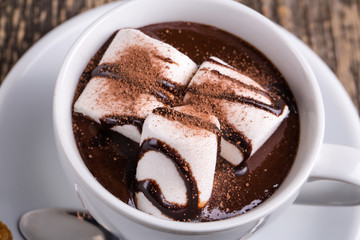 Cup of hot chocolate with marshmallow.
