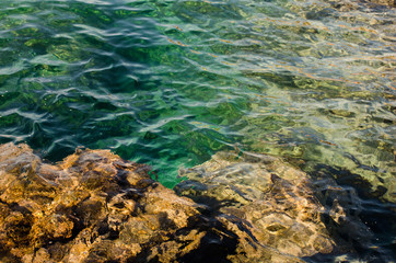 Rocky seabed with trasparent seawater. Polignano a Mare, Italy