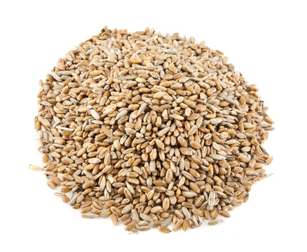 heap of grain