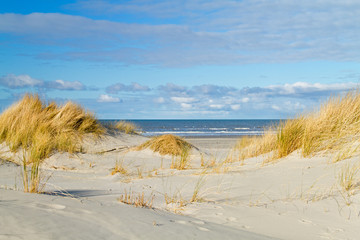 View between two dunes, grown with Beach Grass, on a vast beach and the sea.