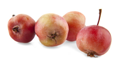 apples