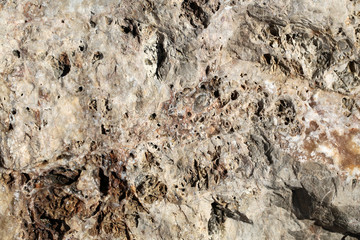 Beach stones and rocks