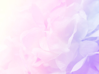 Flower background 22