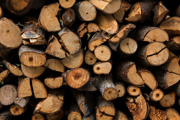 Wood pile background