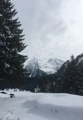 Berglandschaft im Winter