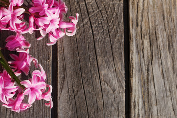 Fototapeta premium beautiful spring flowers on wooden background