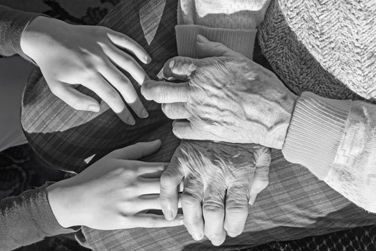 The hands of grandmother and grandchild