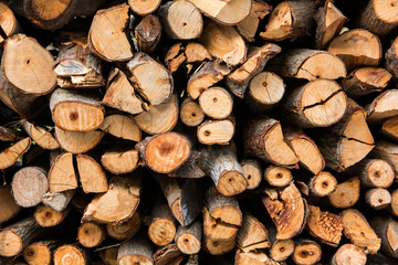 Wood pile background