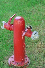 Old Fashioned red fire hydrant with grass in background