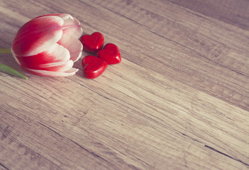 Photograph of a red and white tulip with three red hearts on wooden surface 