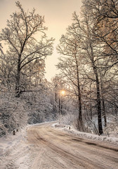 Winter scene, road and trees in the snow on the sunset