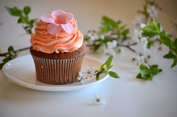 Cap-cake on a plate and cherry blossoms branch