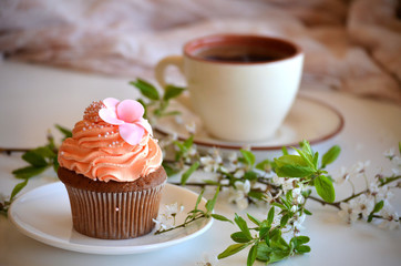 Cap-cake on a plate and cherry blossoms branch