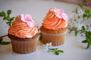 Two cupcakes and a branch of the cherry blossoms on the table