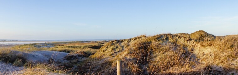 Fototapeta premium Dünen im Abendlicht